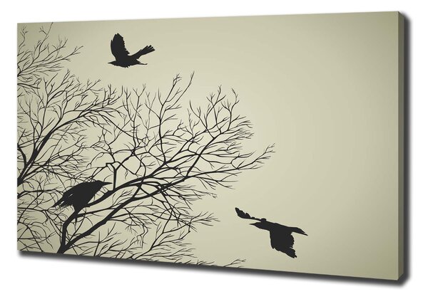 Print pe canvas Ciorile de pe copac