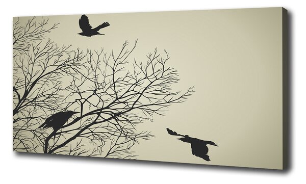 Print pe canvas Ciorile de pe copac