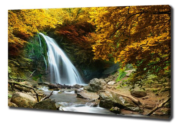 Print pe canvas Cascada din pădure