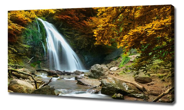 Print pe canvas Cascada din pădure
