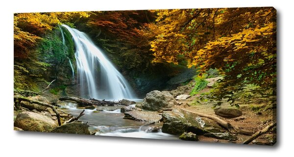 Print pe canvas Cascada din pădure