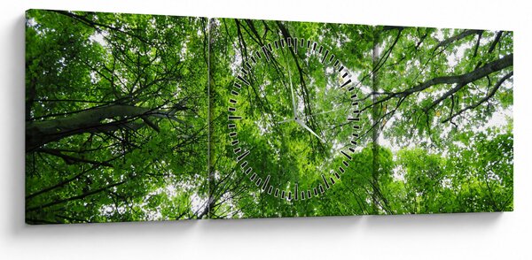 Tablou - privire în coroanele pomilor (cu ceas) (90x30 cm)