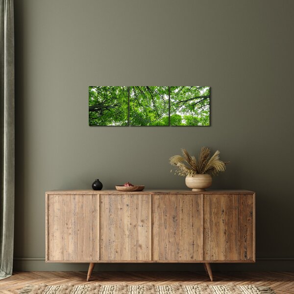 Tablou - privire în coroanele pomilor (cu ceas) (90x30 cm)