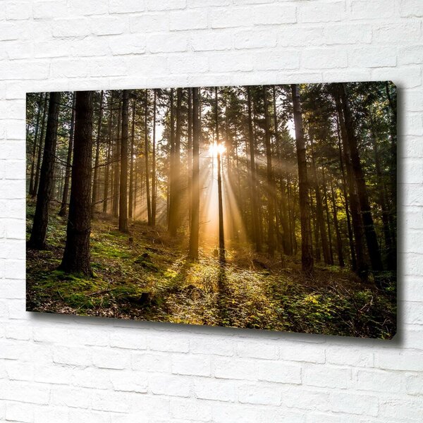 Tablou pe pânză canvas Lumina soarelui