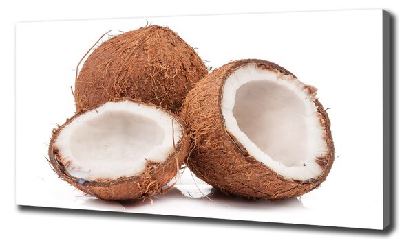 Print pe canvas nucă de cocos