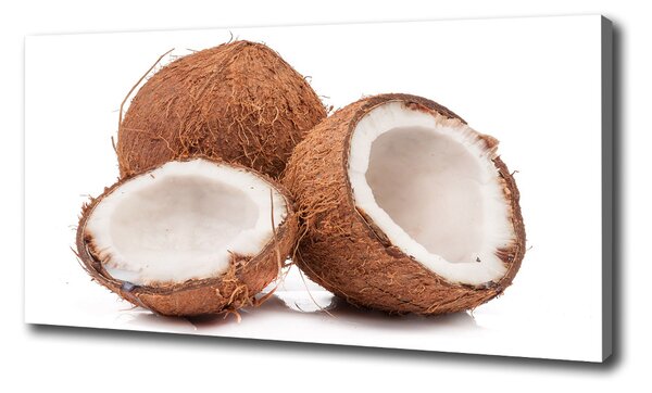 Print pe canvas nucă de cocos
