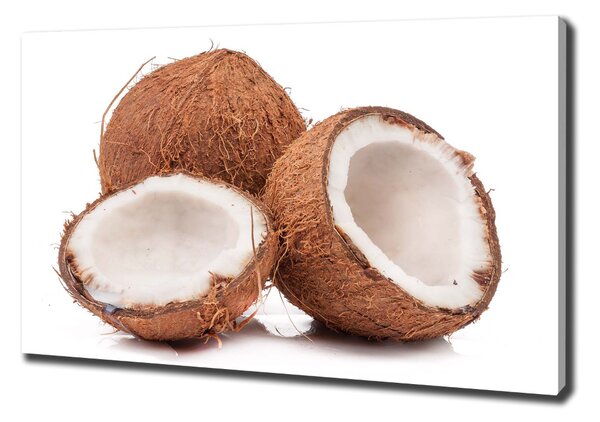 Print pe canvas nucă de cocos