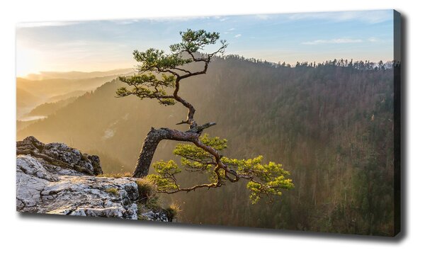 Tablou pe pânză Pieniny Sokolica