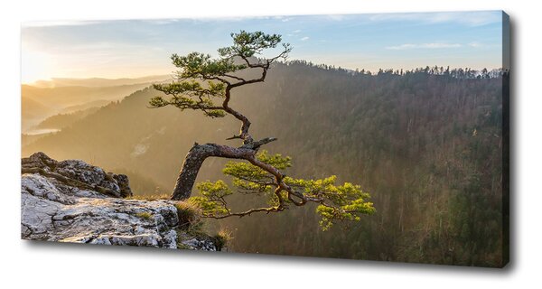 Tablou pe pânză Pieniny Sokolica