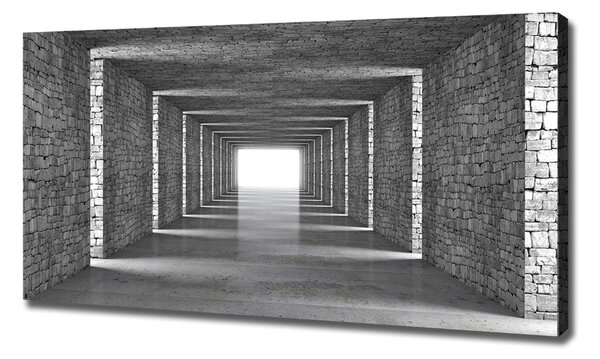 Tablou pe pânză canvas tunel Cărămidă