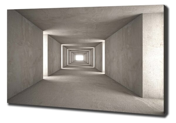 Tablou pe pânză canvas Tunelul de beton