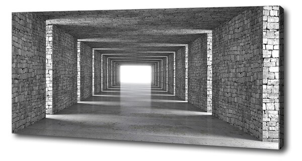 Tablou pe pânză canvas tunel Cărămidă