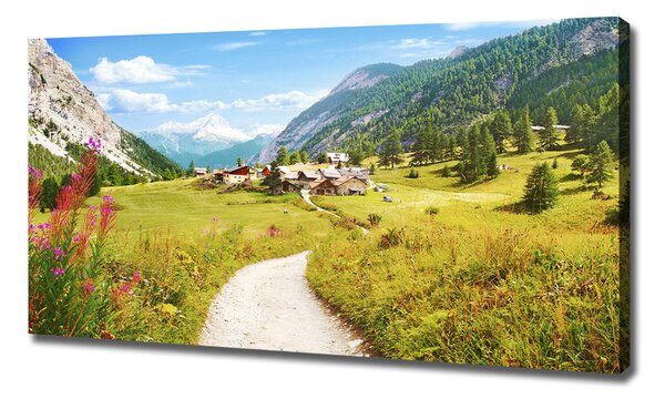 Tablou pe pânză canvas Pășuni în Alpi