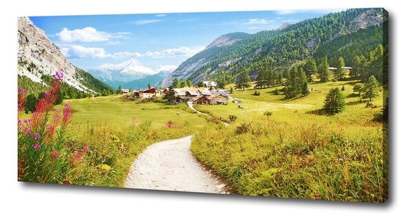 Tablou pe pânză canvas Pășuni în Alpi