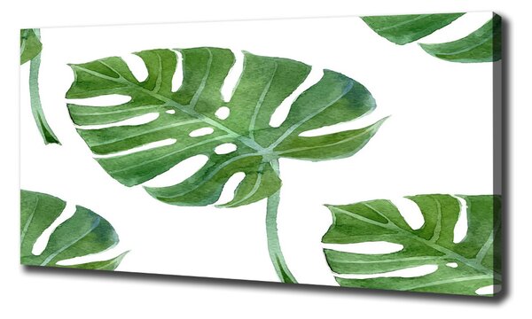 Imprimare tablou canvas Monstera