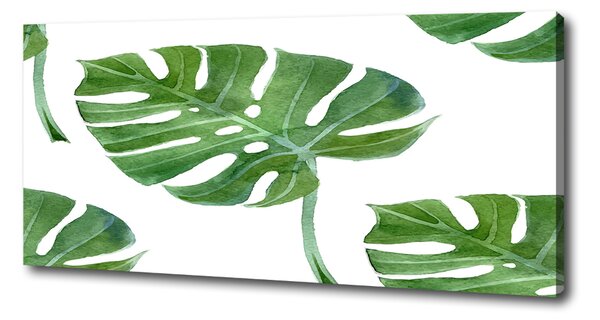 Imprimare tablou canvas Monstera