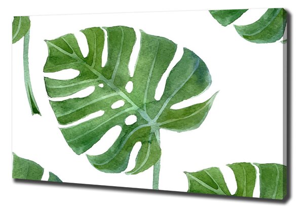 Imprimare tablou canvas Monstera