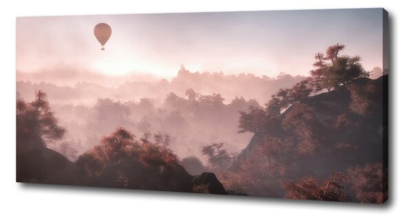 Tablou pe pânză canvas Balonul deasupra pădurii