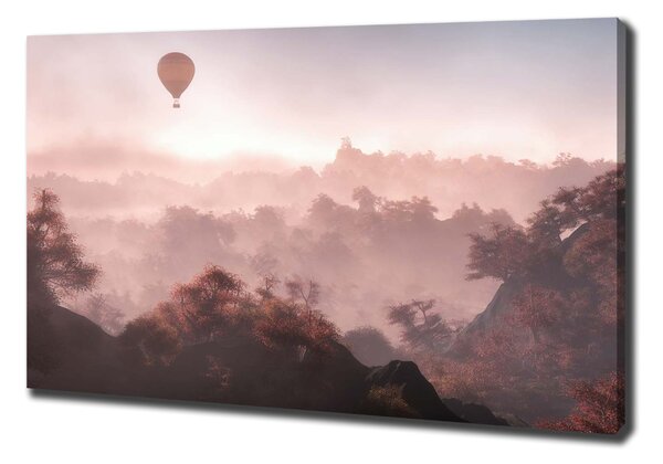 Tablou pe pânză canvas Balonul deasupra pădurii