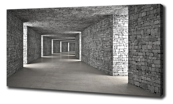 Tablouri tipărite pe pânză tunel Cărămidă
