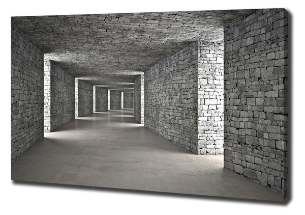Tablouri tipărite pe pânză tunel Cărămidă
