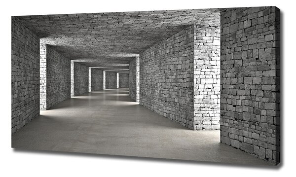 Tablouri tipărite pe pânză tunel Cărămidă