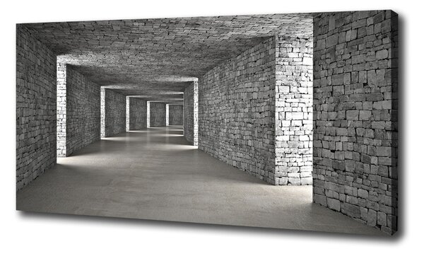 Tablouri tipărite pe pânză tunel Cărămidă