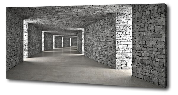 Tablouri tipărite pe pânză tunel Cărămidă