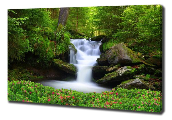 Pictură pe pânză Cascada din pădure