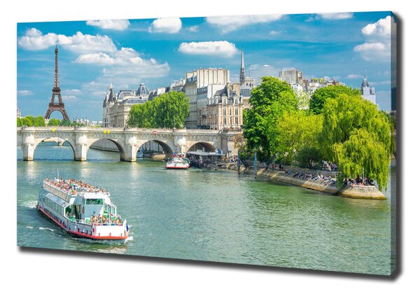 Print pe canvas Seine din Paris