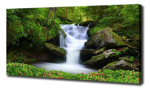 Pictură pe pânză Cascada din pădure