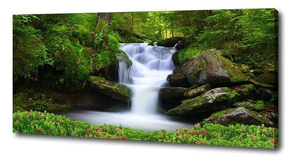 Pictură pe pânză Cascada din pădure