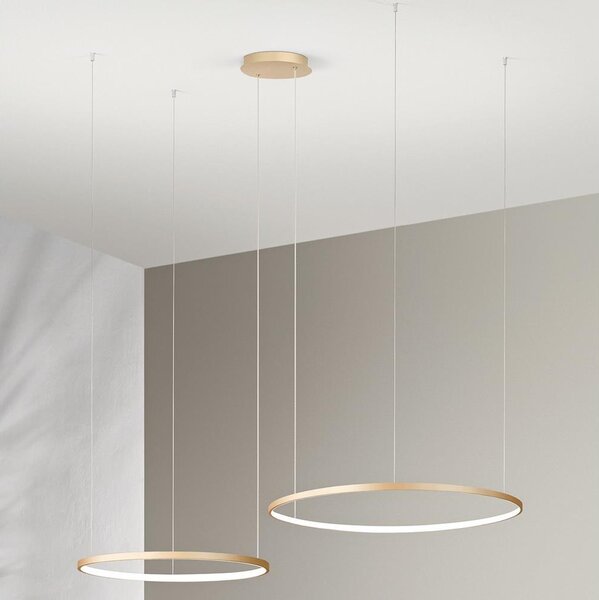 Ondaluce - Candelabru suspendat LED dimabil pe cablu SOEL LED/28W/230V + LED/38W auriu
