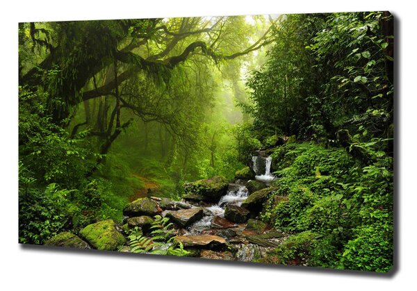 Print pe pânză Jungle în Nepal