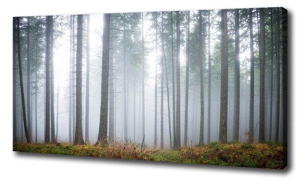 Pictură pe pânză Ceață în pădure