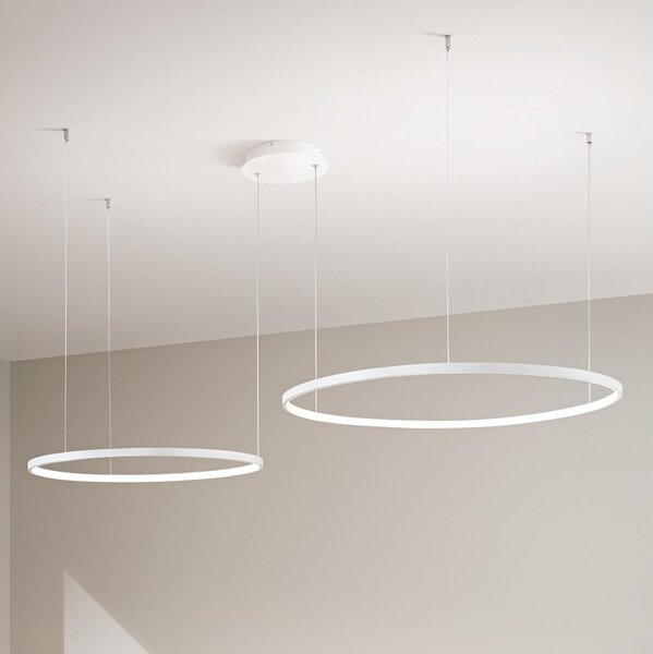 Ondaluce - Lustră LED dimabilă pe cablu SOEL LED/28W/230V + LED/38W, albă