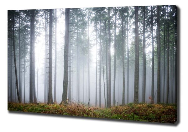 Pictură pe pânză Ceață în pădure