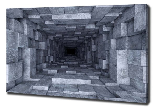 Print pe canvas Tunel
