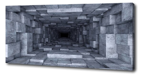Print pe canvas Tunel