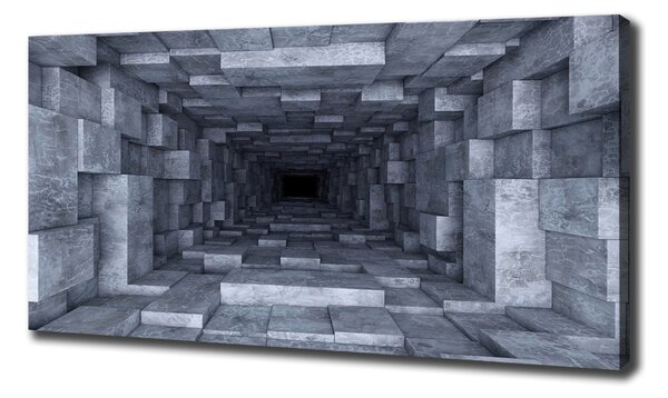 Print pe canvas Tunel
