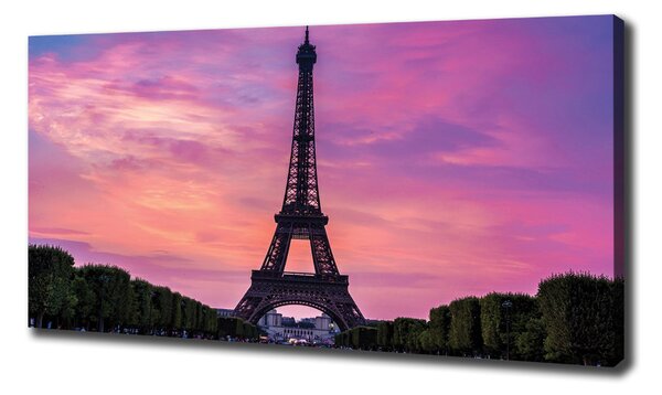 Tablou pe pânză Turnul Eiffel din Paris
