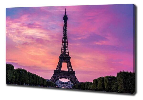 Tablou pe pânză Turnul Eiffel din Paris