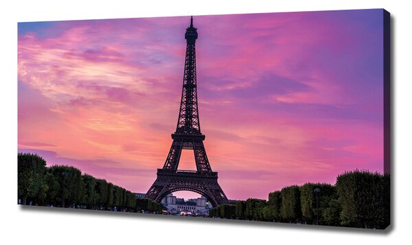 Tablou pe pânză Turnul Eiffel din Paris