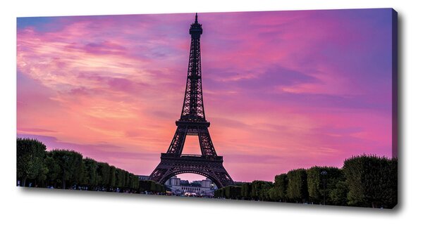 Tablou pe pânză Turnul Eiffel din Paris