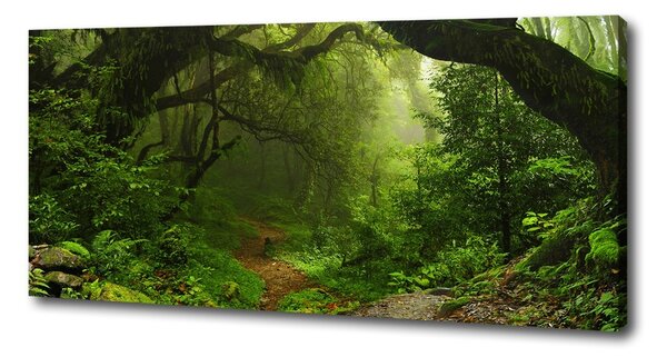 Tablou pe pânză Jungle în Nepal