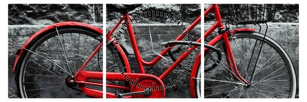 Tablou - Bicicleta istorică (cu ceas) (90x30 cm)