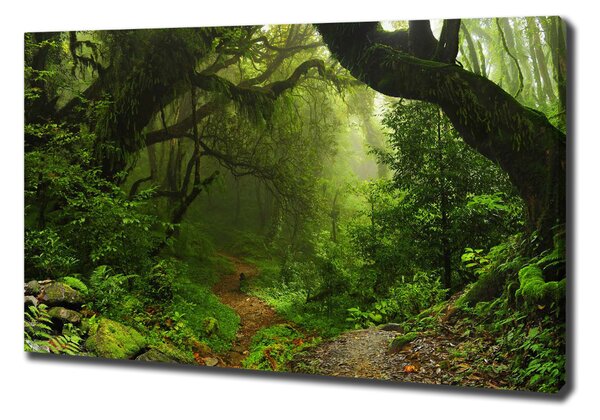 Tablou pe pânză Jungle în Nepal