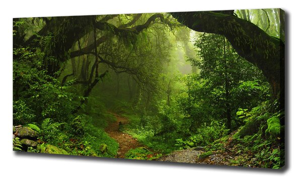 Tablou pe pânză Jungle în Nepal