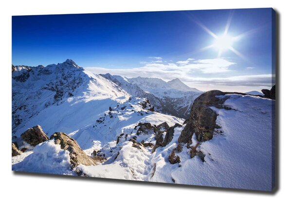 Tablou pe pânză Summit-ul Tatra