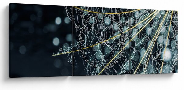 Tablou - Floare cu pânză de pâianjen (cu ceas) (90x30 cm)